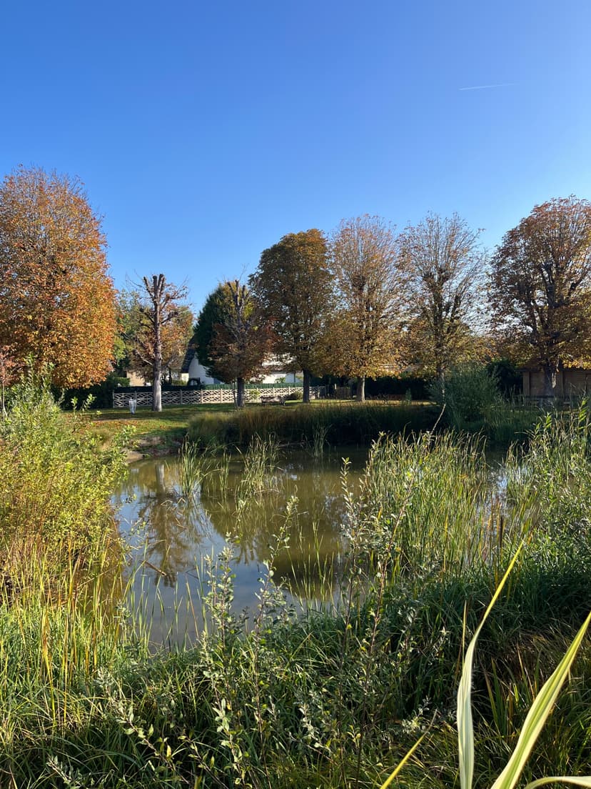 Rendez-vous d'automne du CAF